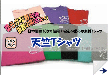 天竺Tシャツ